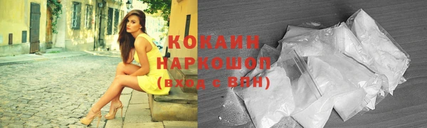 прущий лед Гусев