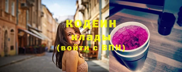 стаф Гусь-Хрустальный