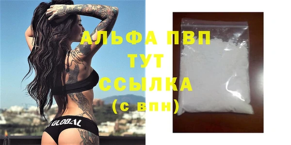 прущий лед Гусев