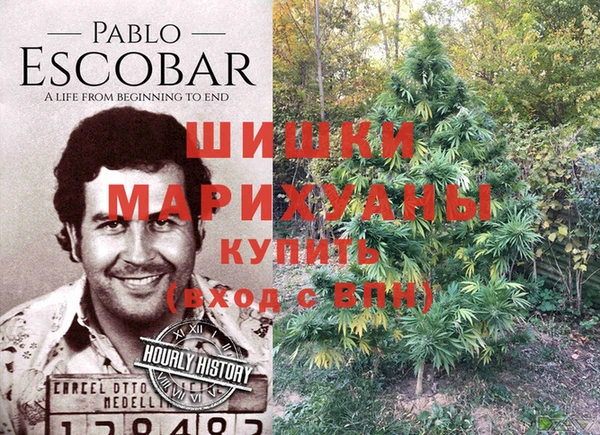 прущий лед Гусев