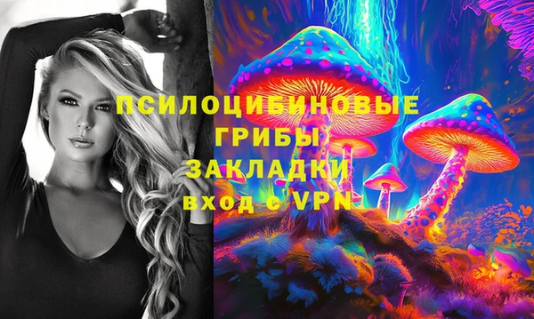 прущий лед Гусев