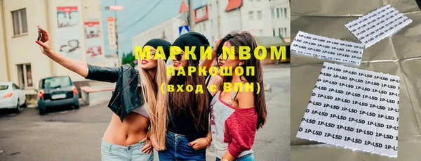стаф Гусь-Хрустальный