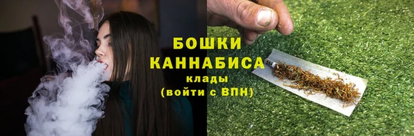 ПСИЛОЦИБИНОВЫЕ ГРИБЫ Гусиноозёрск
