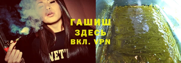 стаф Гусь-Хрустальный